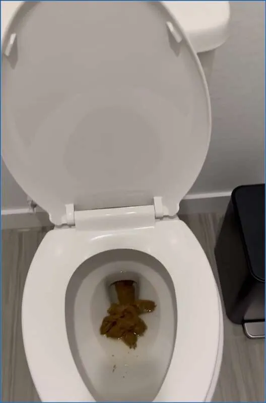 Kaitlyn Katsaros comincia la mattina con scat e anal - vidéo fétiche