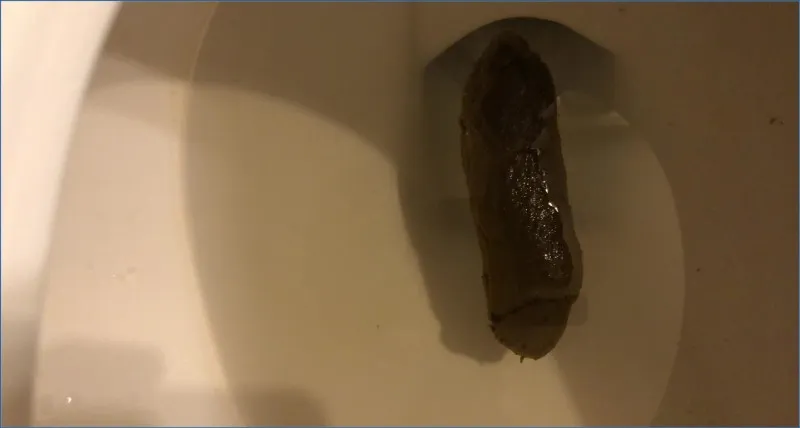 Tina Amazon estrae con fatica feci solide e dense dal water - video scat