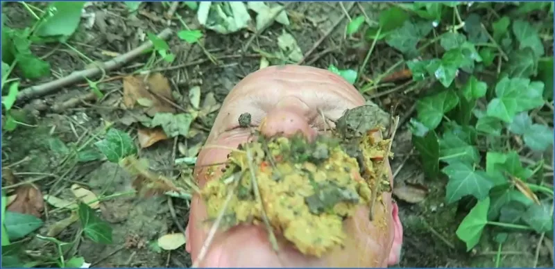 Miss Medea Mortelle rapita e usata come water completa - vidéo fétiche